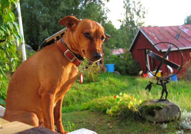 Piha ja Mökki