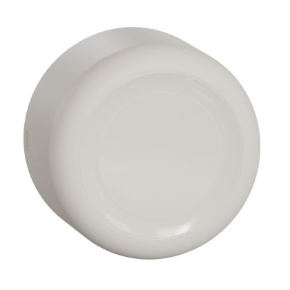 Pintarasia Renova pinta