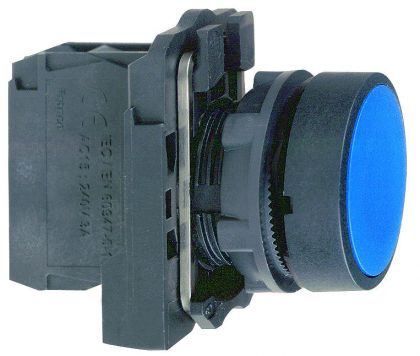 TASOPAINIKE HARMONY XB5AA61 SININEN NO