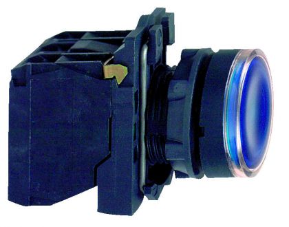 TASOVALOPAINIKE HARMONY XB5AW36B5 LED 24V SININEN