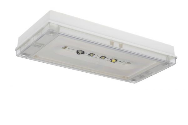 TURVAVALAISIN SOLID ZONELOWBAY Y3271W 24-230VAC/DC IP65 YP