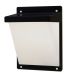 SEINÄVALAISIN ULKO VINO DUO IP65 19W 830/840 PCO BK
