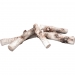 Ceramic Birch splints for Kratki fireplaces